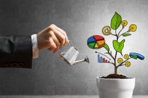 ما علاقة القدرة المالية بالاستدامة؟